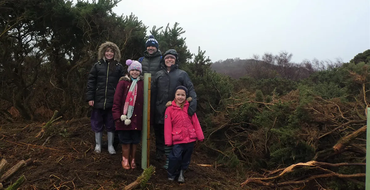 Plock Tree Trail Plock Tree Trail